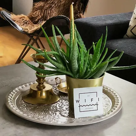 Scandinavian In Fjords Apartment *