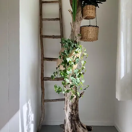 Apartment Scandinavian In Fjords Norddal